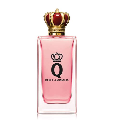 dolce and gabbana q.